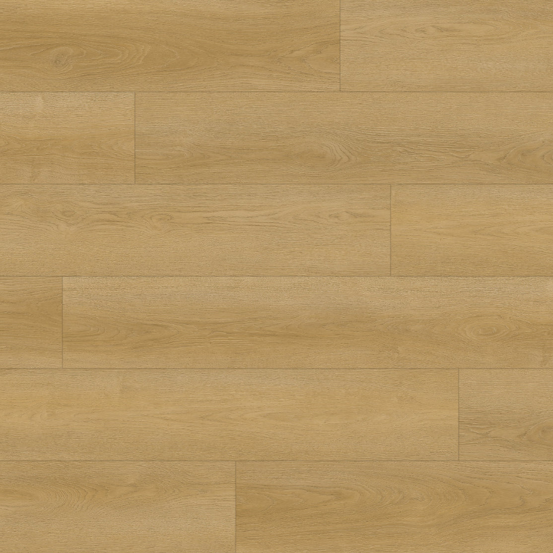 MONTCLAIR Lapland Oak 22 MIL Waterproof Click Lock Luxury Vinyl Plank Flooring (19.02 sq. ft./case) Lapland