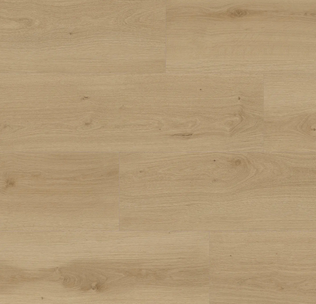 Citadel Calise Oak