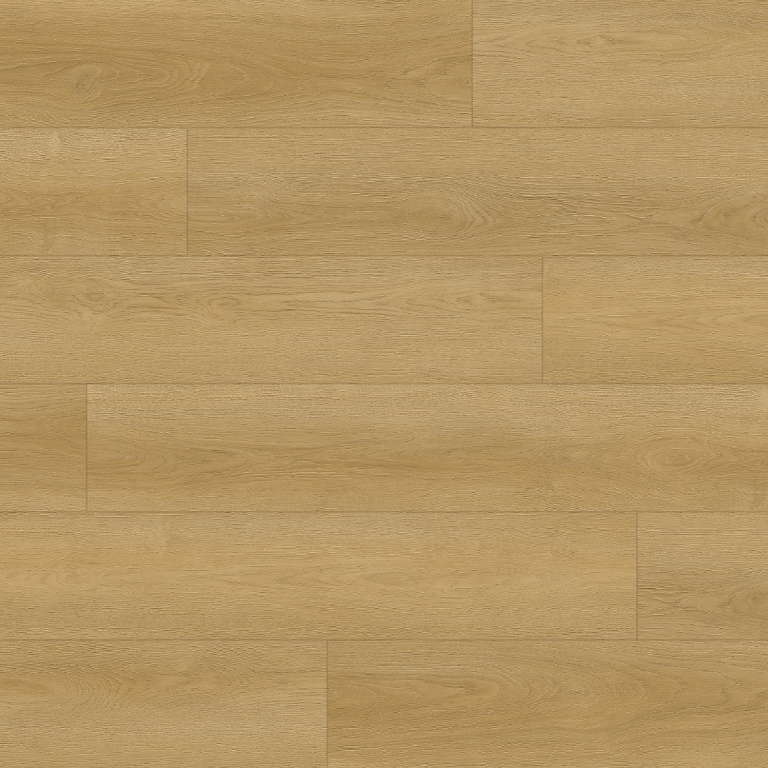 Alpine Lapland Oak