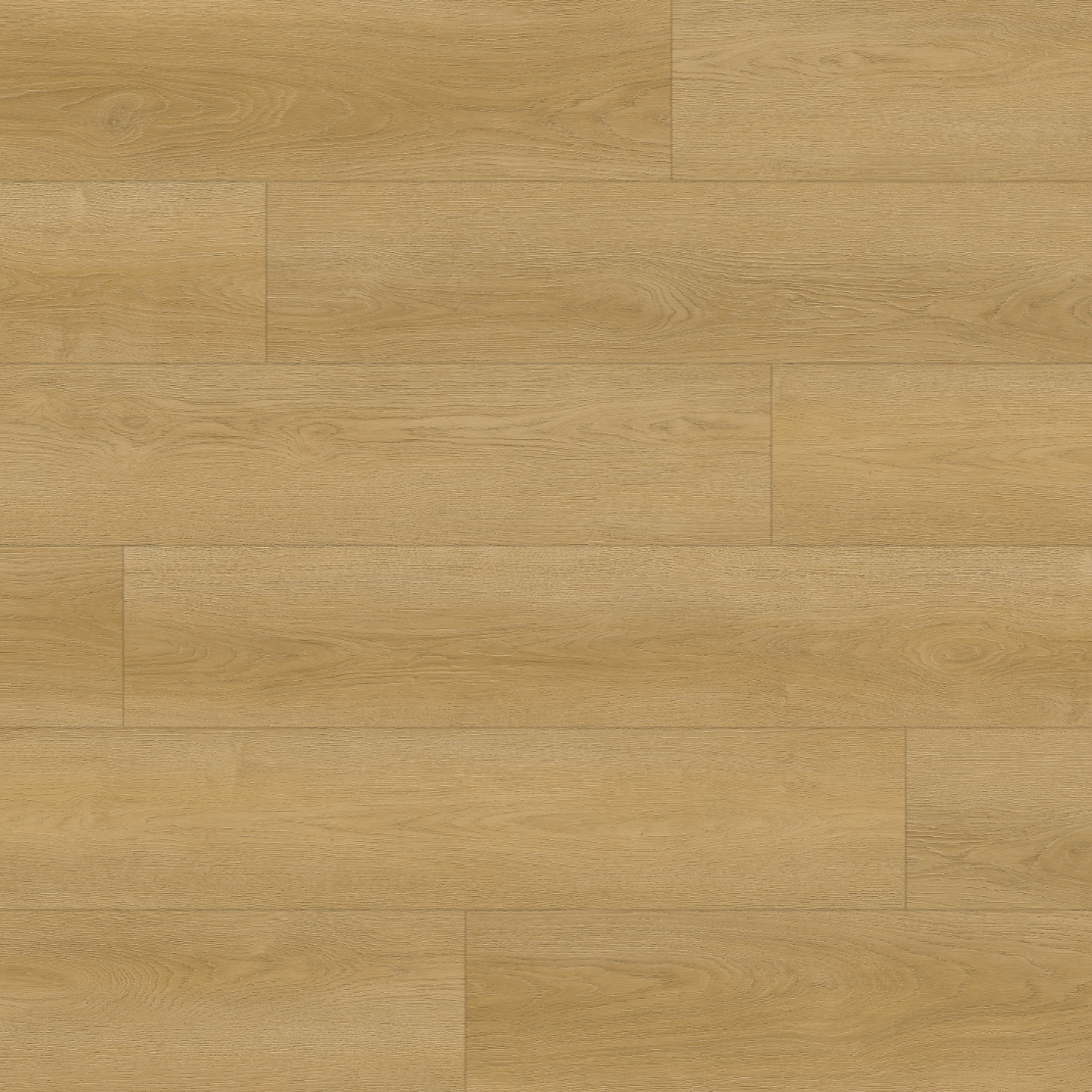 Montclair Lapland Oak
