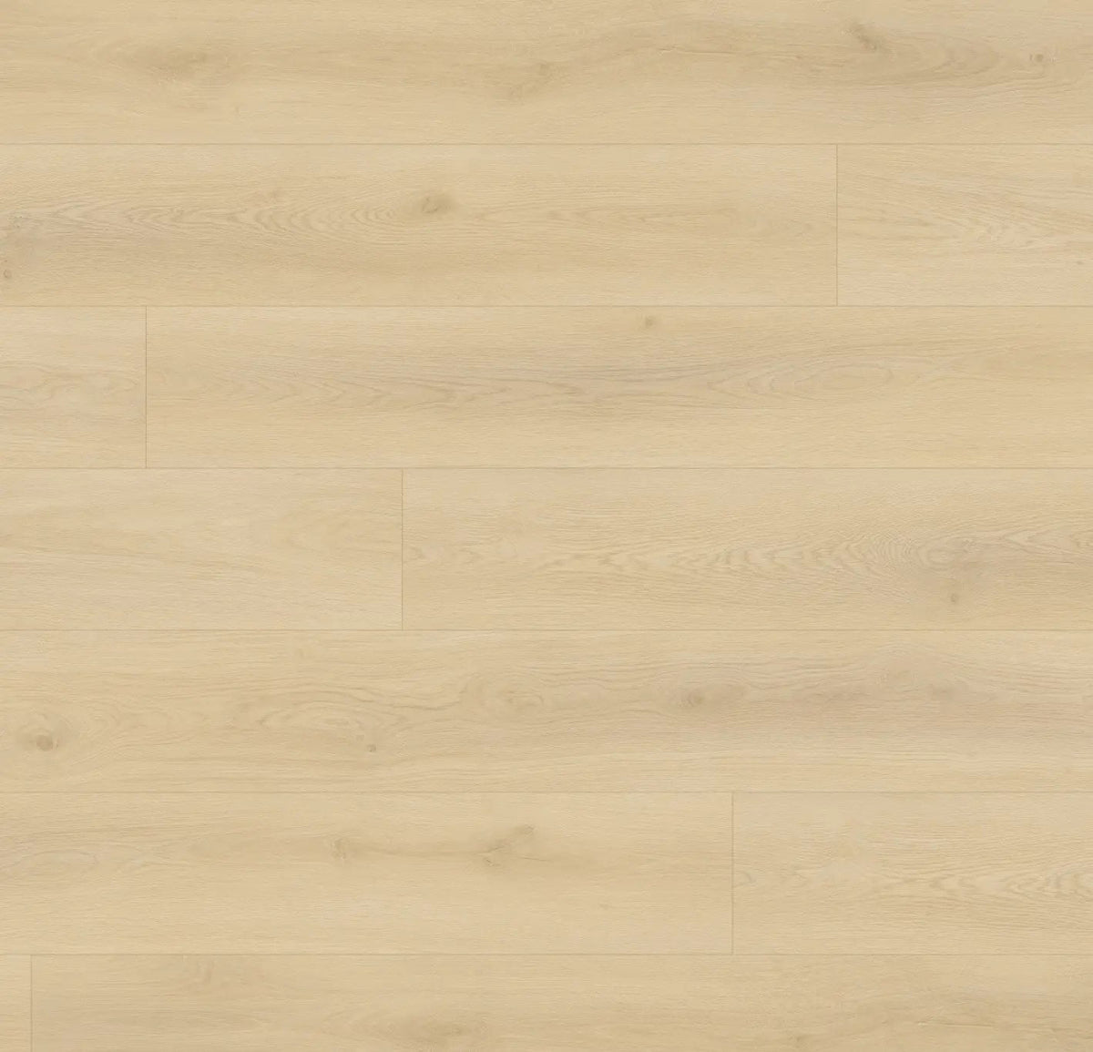 Citadel Nobi Oak