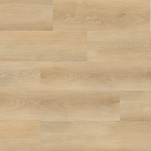 Montclair Nicoya Fir SPC Vinyl Plank Flooring — 6.5MM Click-Lock, 22MIL Wear Layer, Waterproof Luxury Vinyl Plank, 19.16 sqft/box